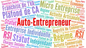 auto entrepreneur